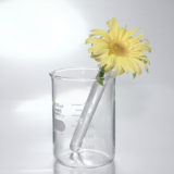 化学物質・有害物質の人体への影響は？身近な危険物質を知ろう