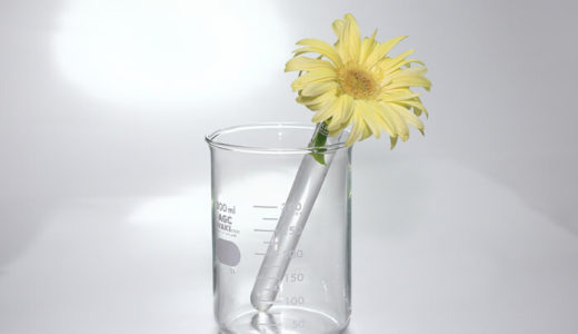 化学物質・有害物質の人体への影響は？身近な危険物質を知ろう