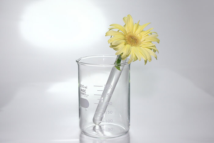 化学物質・有害物質の人体への影響は？身近な危険物質を知ろう